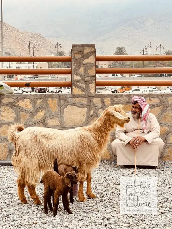 Kozi targ Nizwa