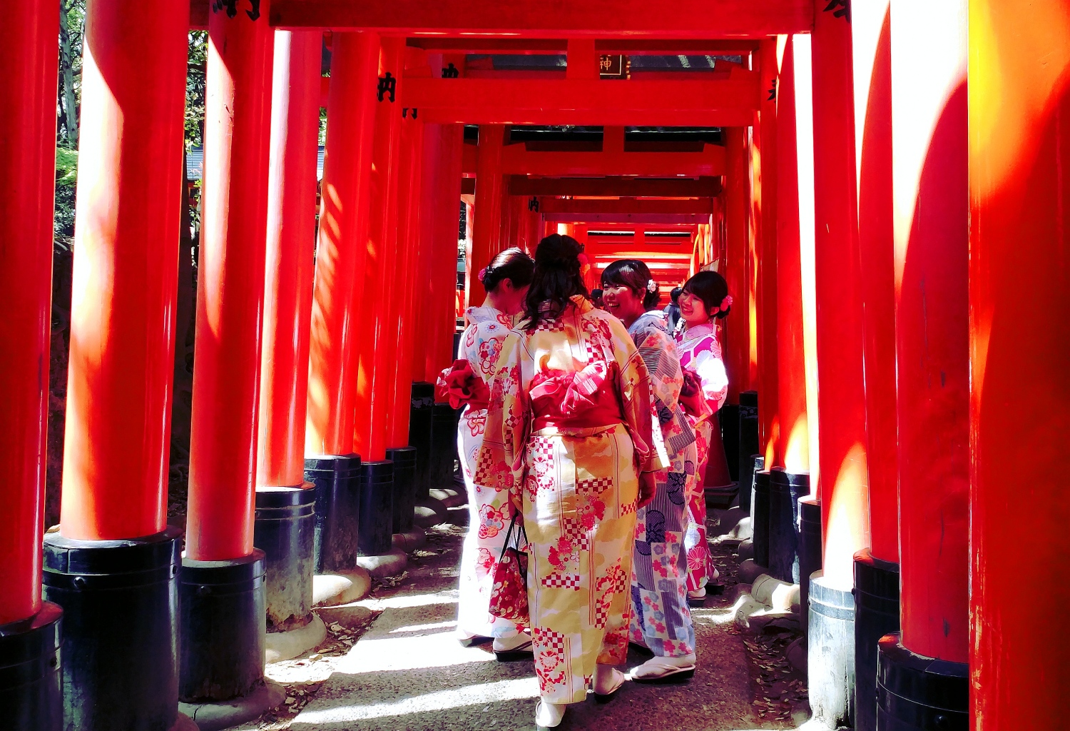 Japonia | Kioto w pigułce dla zabieganych