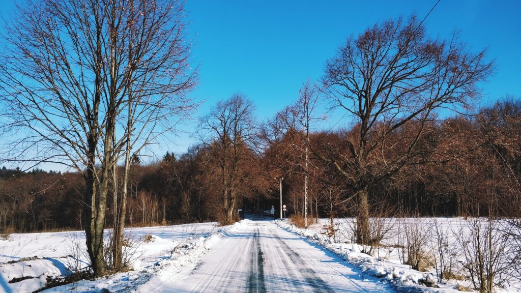 Ojcowski Park Narodowy zimą. Szlaki w ojcowie. Jednodniowe wycieczki w okolice Krakowa