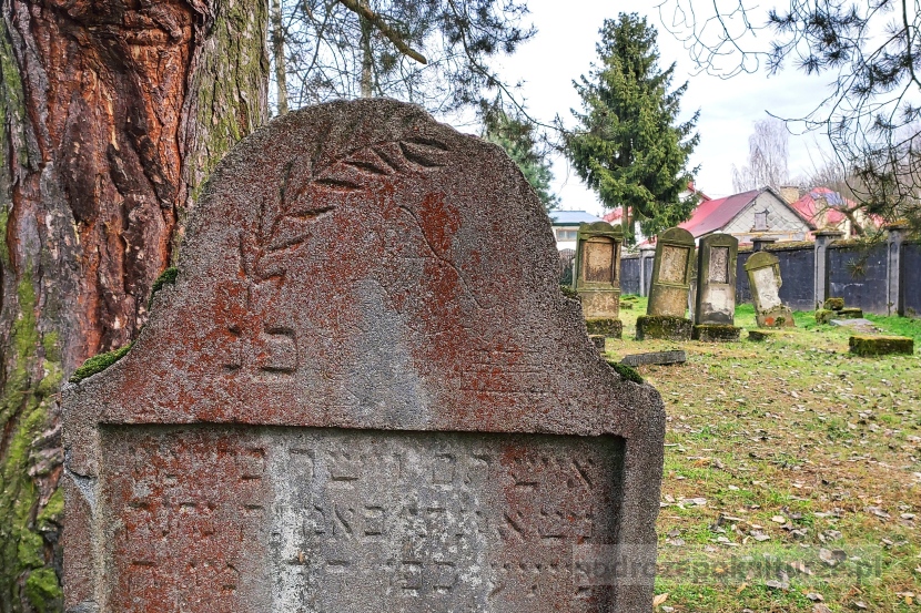 Cmentarz żydowski w Niepołomicach