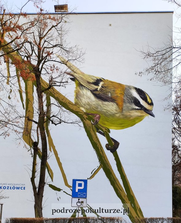 Ptaki - murale na osiedlu na Kozłówce Kraków. Zniczek zwyczajny