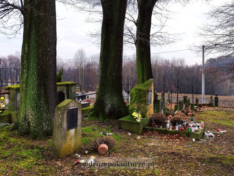 Cmentarz wojenny nr 309 – Trzciana
