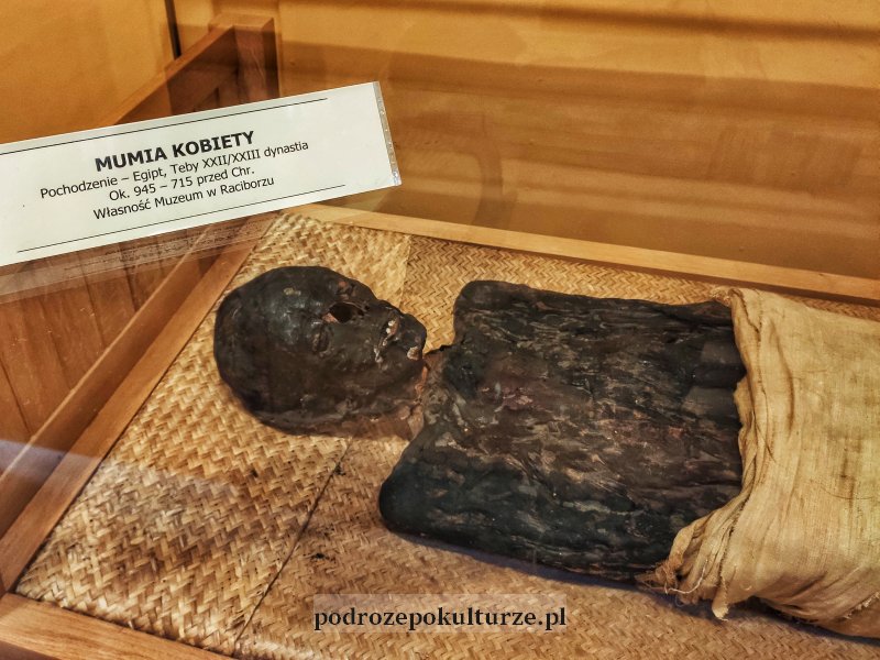 Dżed-Amonet-ius-anch - egipska mumia w muzeum w Raciborzu